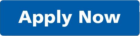 apply now button blue 2